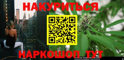 мяу мяу мука Аргун
