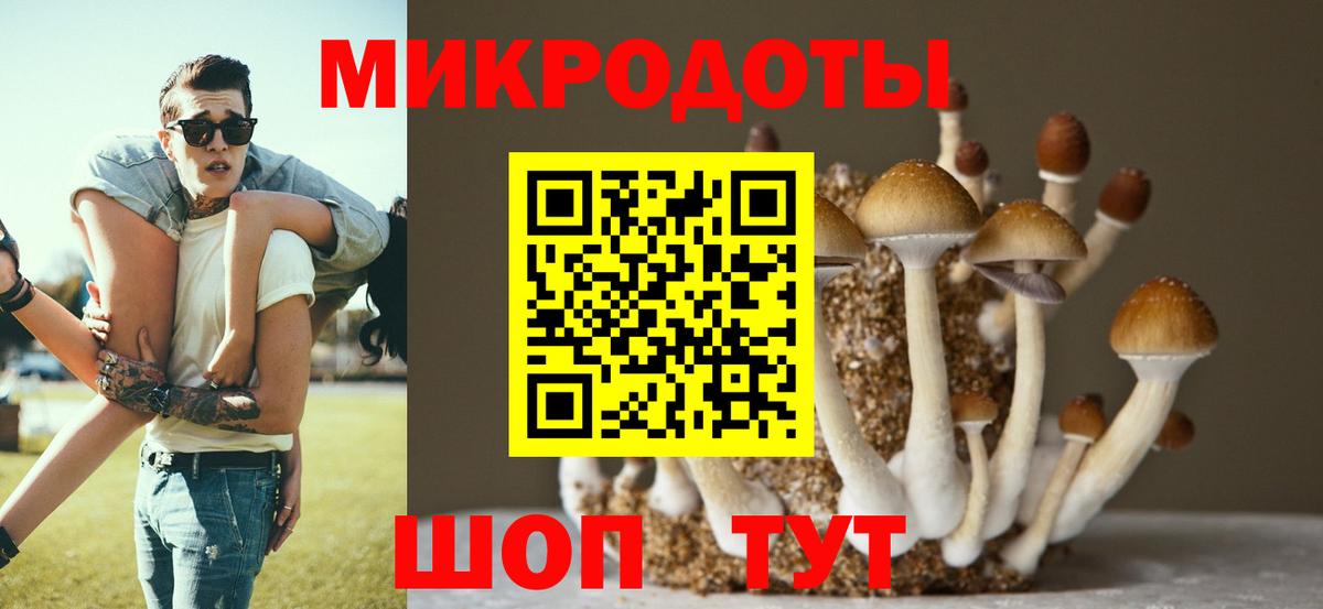 Бийск  цена   Вход с VPN  Псилоцибиновые грибы Psilocybine cubensis 